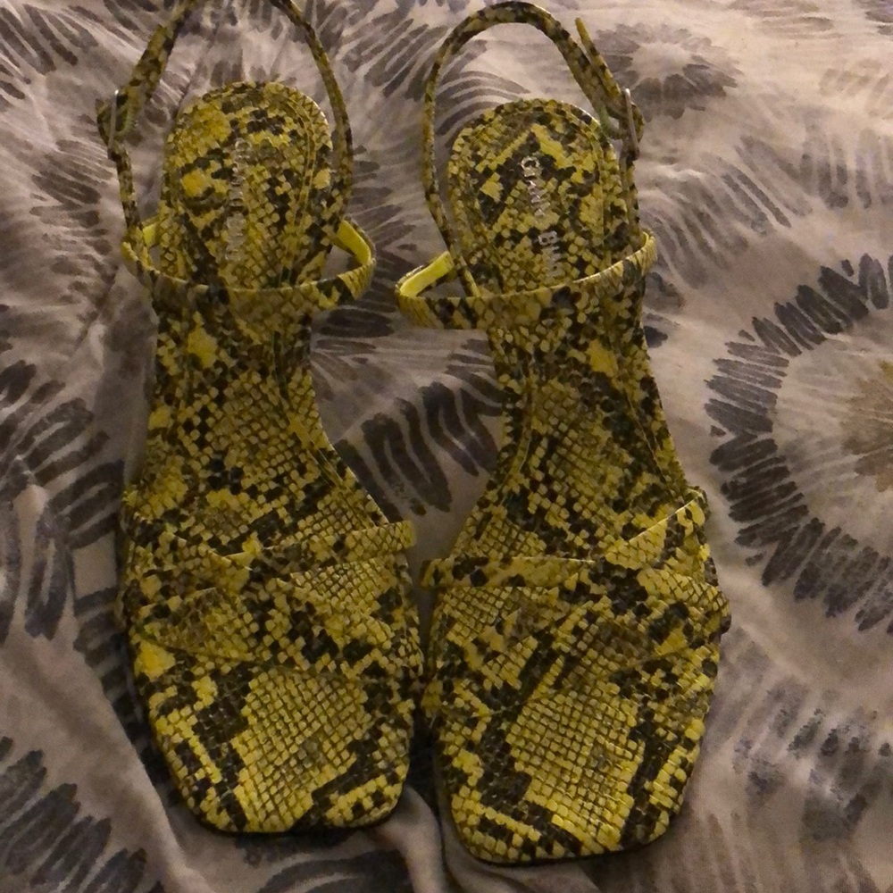 Lime green snake skin